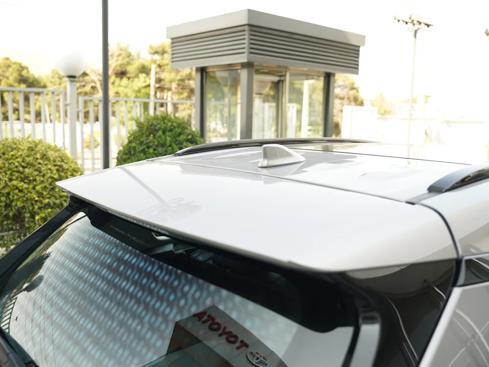 ترکیب رنگ سقف و بدنه در طراحی وایلدلندر