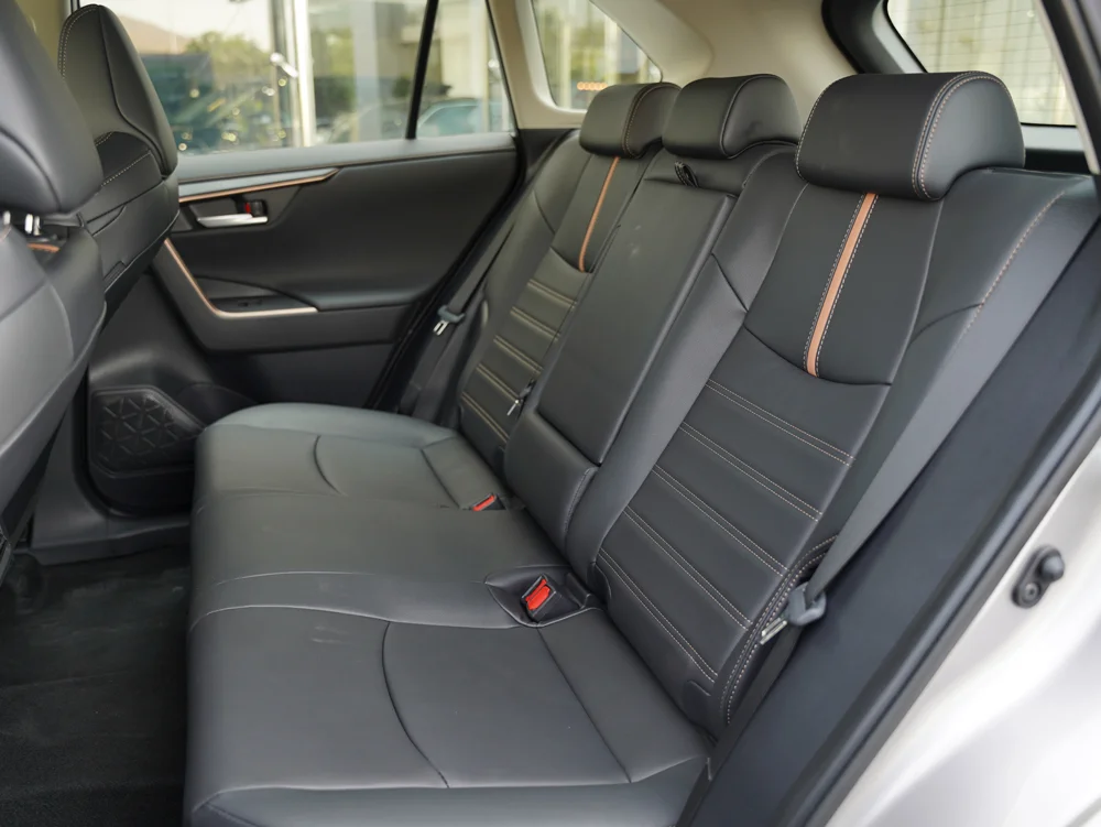 فضای پشت‌سری صندلی عقب وایلدلندر