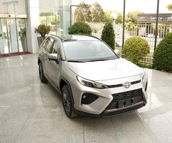 نمای کلی وایلدلندر از زاویه سه‌رخ